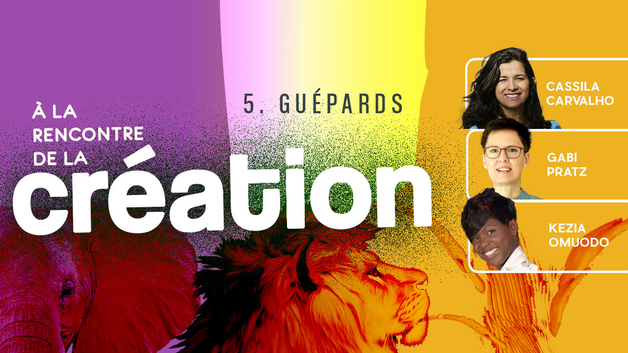 À la rencontre de la Création #5 – Guépards