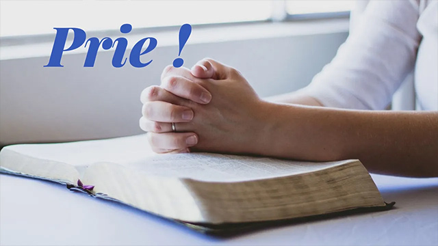 Proverbes 24:20