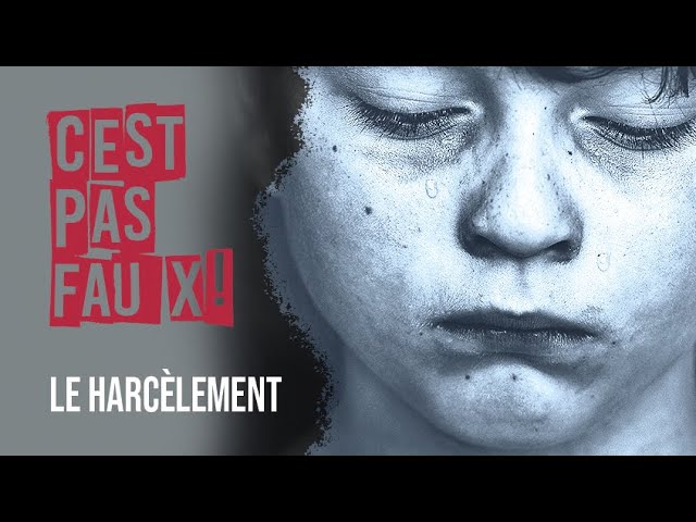 Le harcèlement  – C&rsquo;est pas faux
